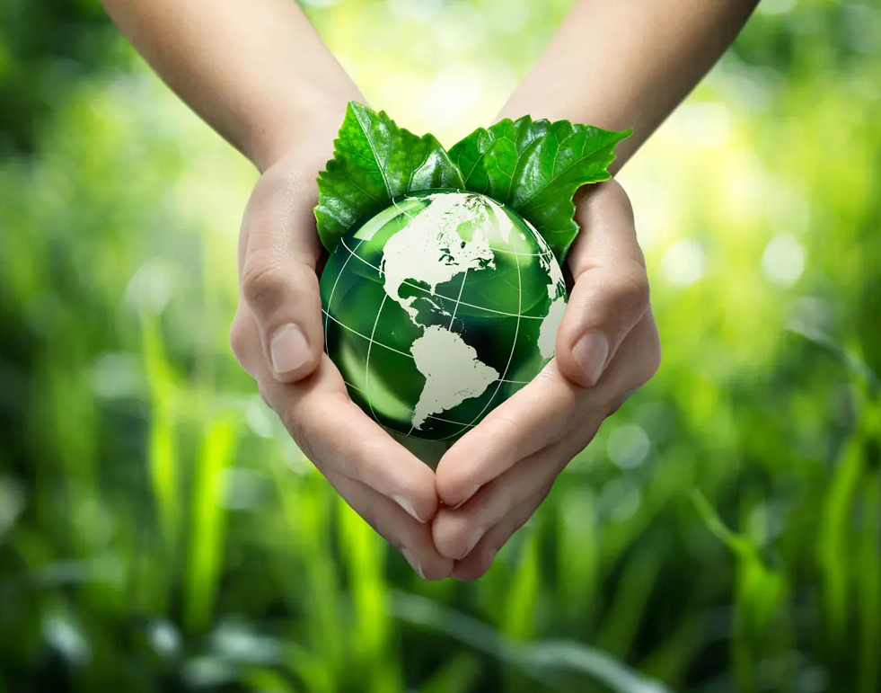 關(guān)于綠色印刷，這些你都知道嗎？